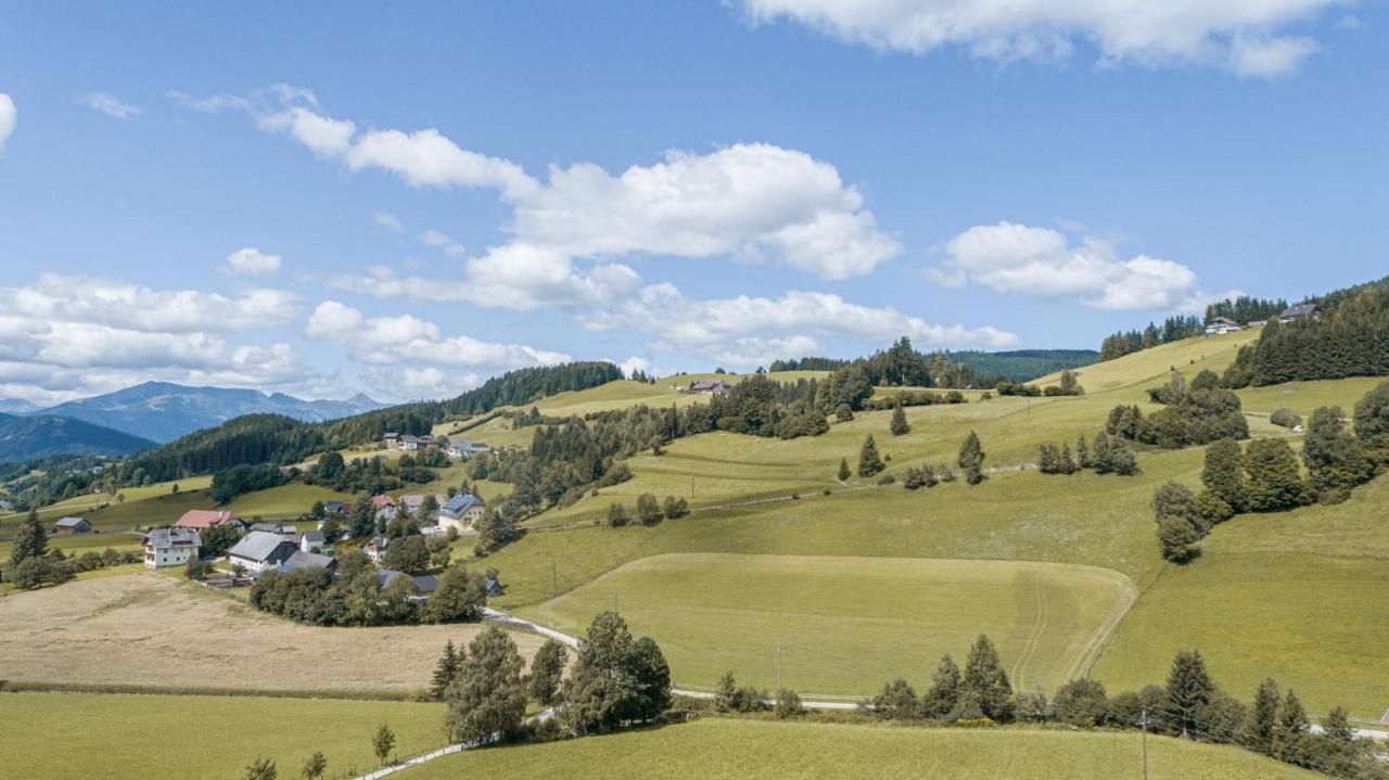 Larix Apartment Tamsweg Zewnętrze zdjęcie