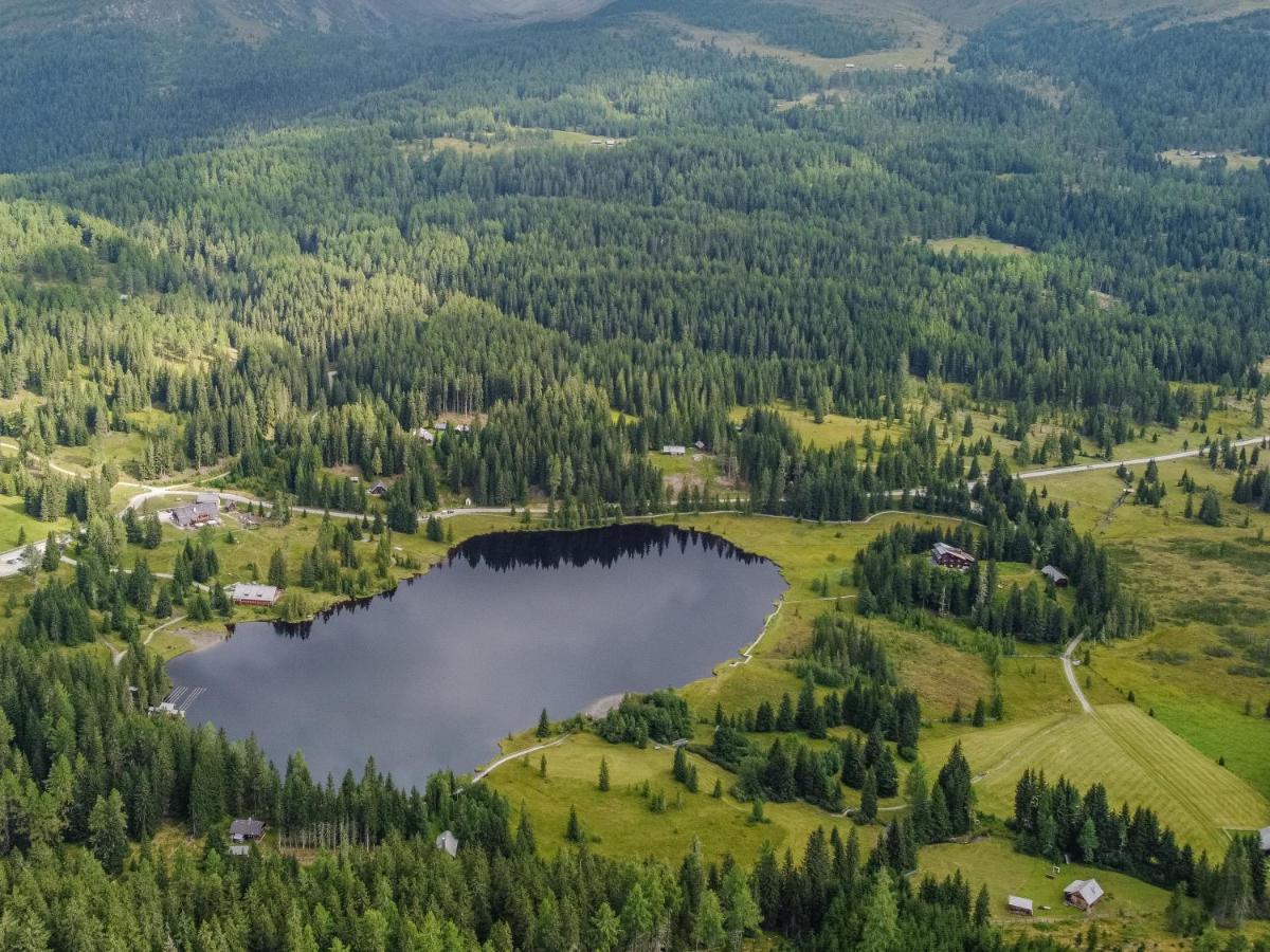 Larix Apartment Tamsweg Zewnętrze zdjęcie